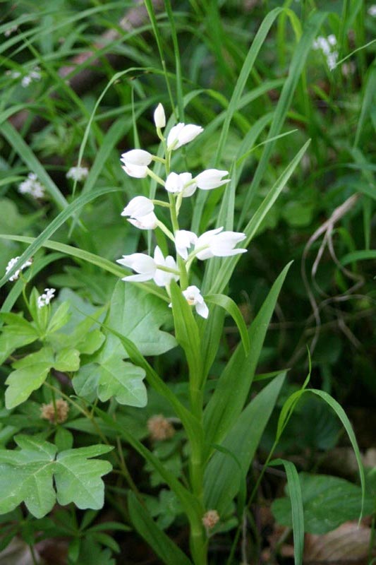 Killikus&reg; Fotographie